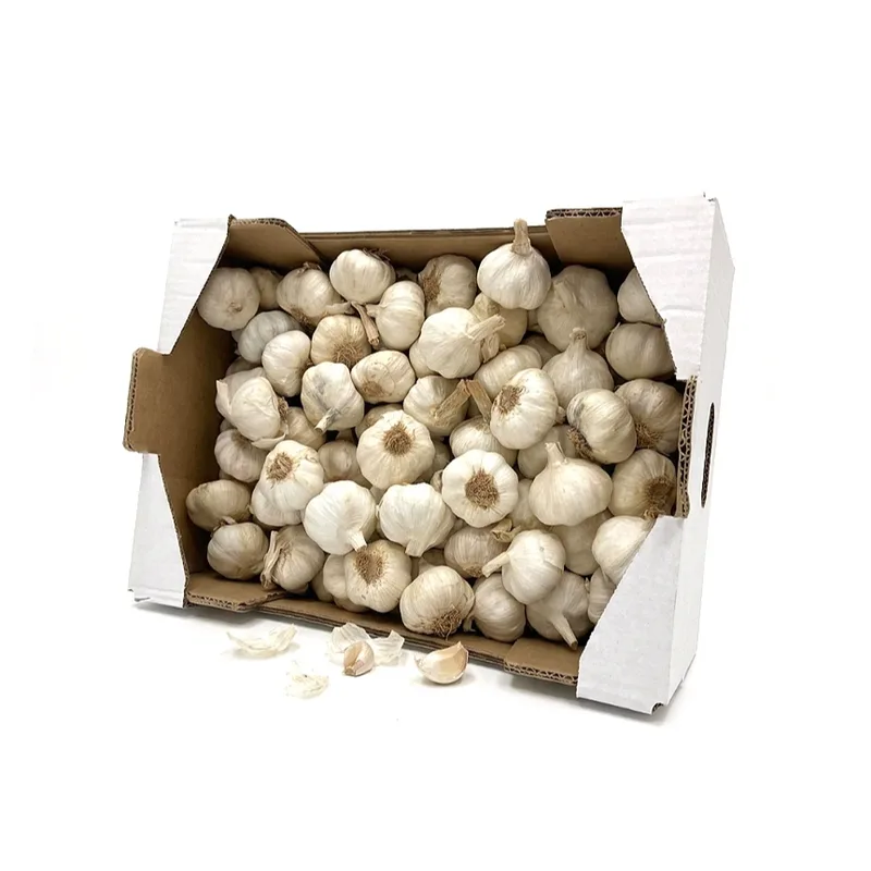 Garlic Box