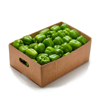 Green Pepper