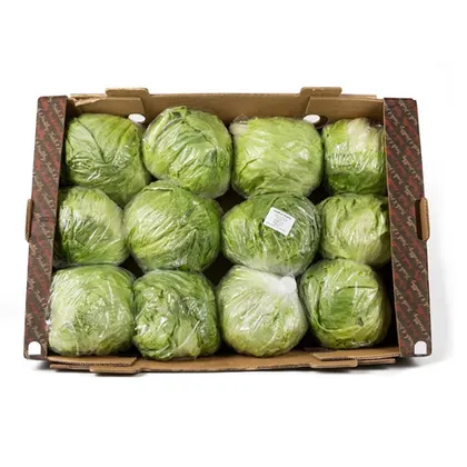 Lettuce Box