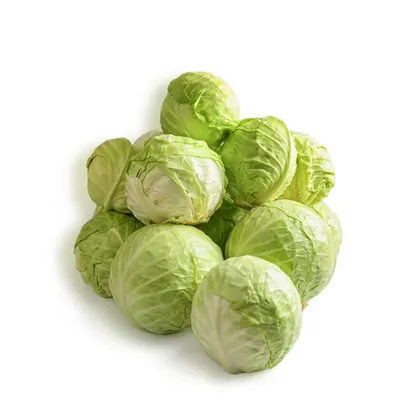 White Cabbage